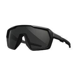 WileyX Apex Citadel napszemüveg Grey/Matte Black